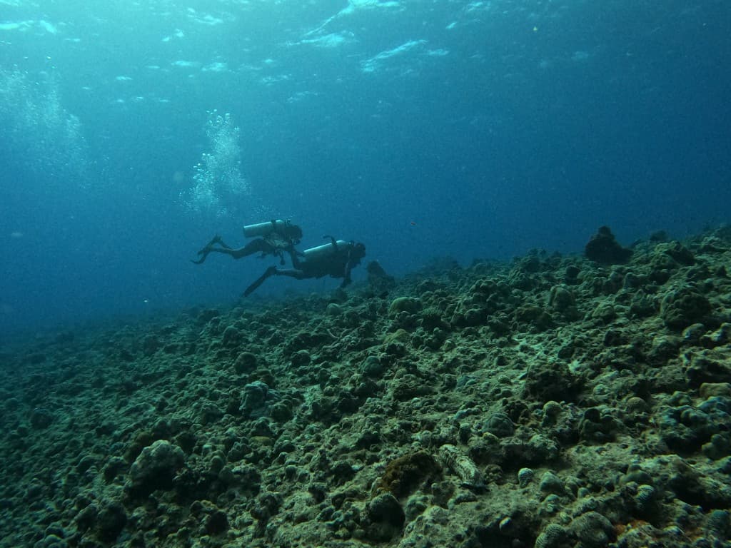 SSI Advanced Adventurer Course
