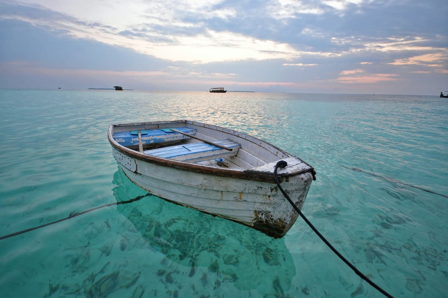 Parasailing in the ocean