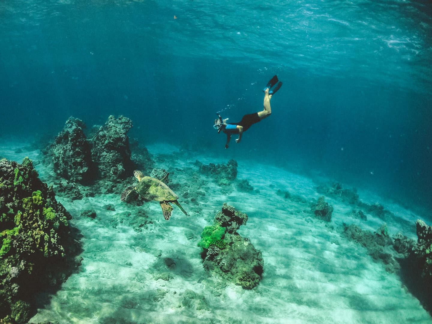 Al Boom Diving