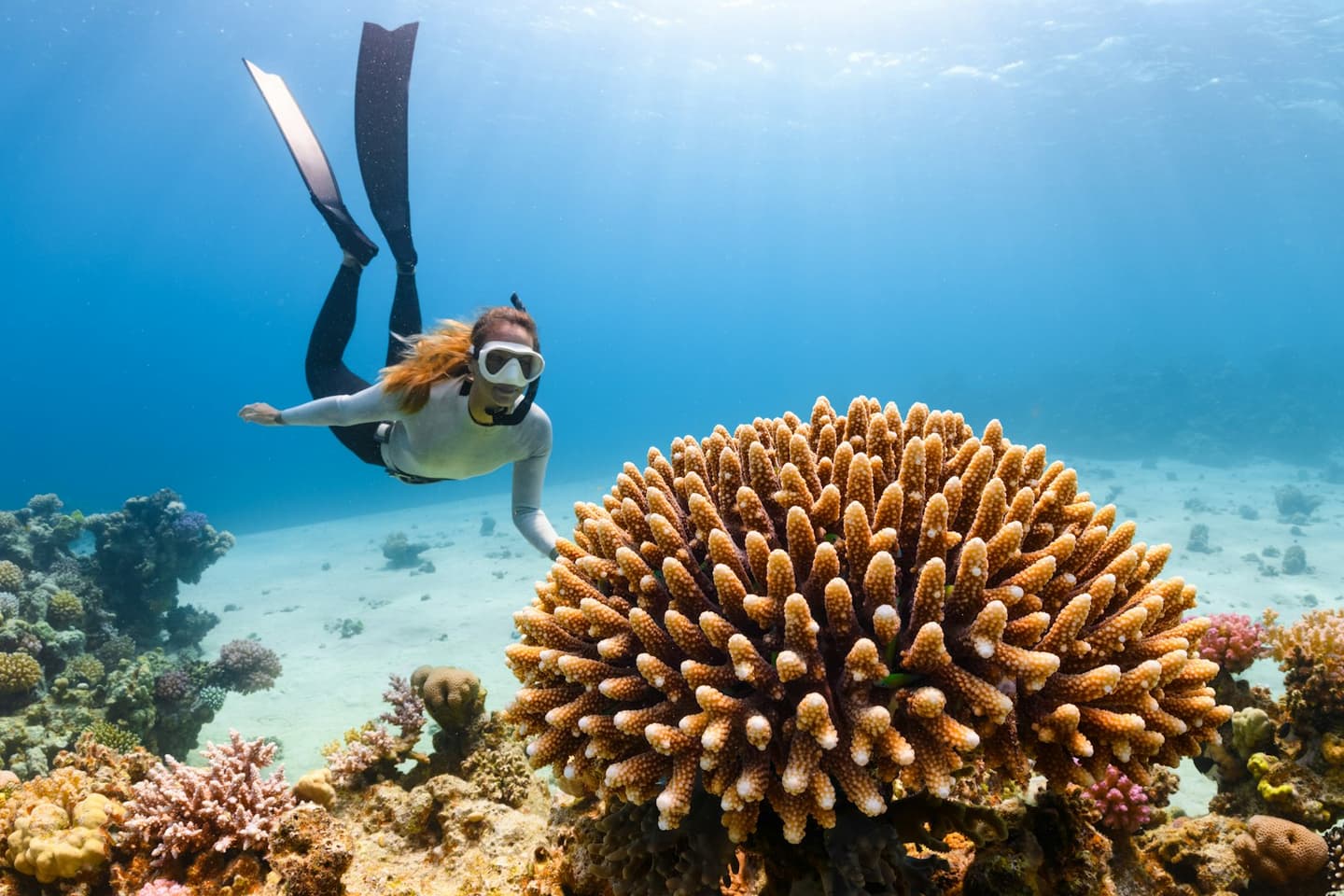 Fulidhoo Dive & Water Sports