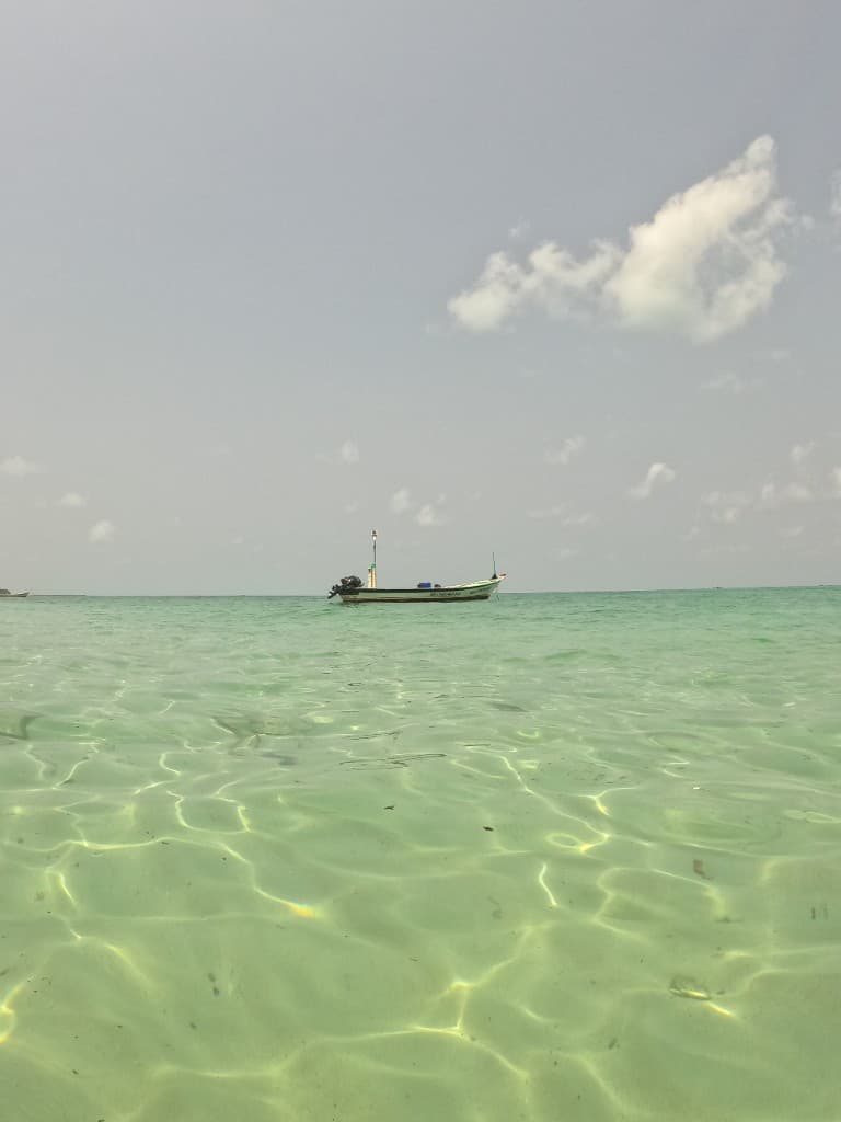 PADI SPECIALTY COURSES