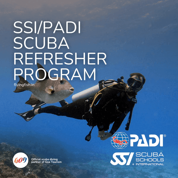 SSI / PADI Scuba Skills Update