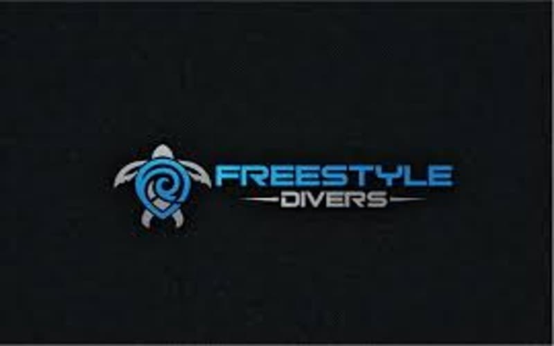 Freestyle Divers