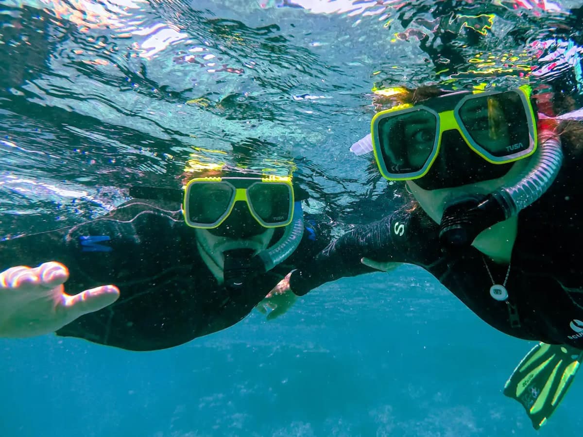 Dolphin Dive Murdeshwar