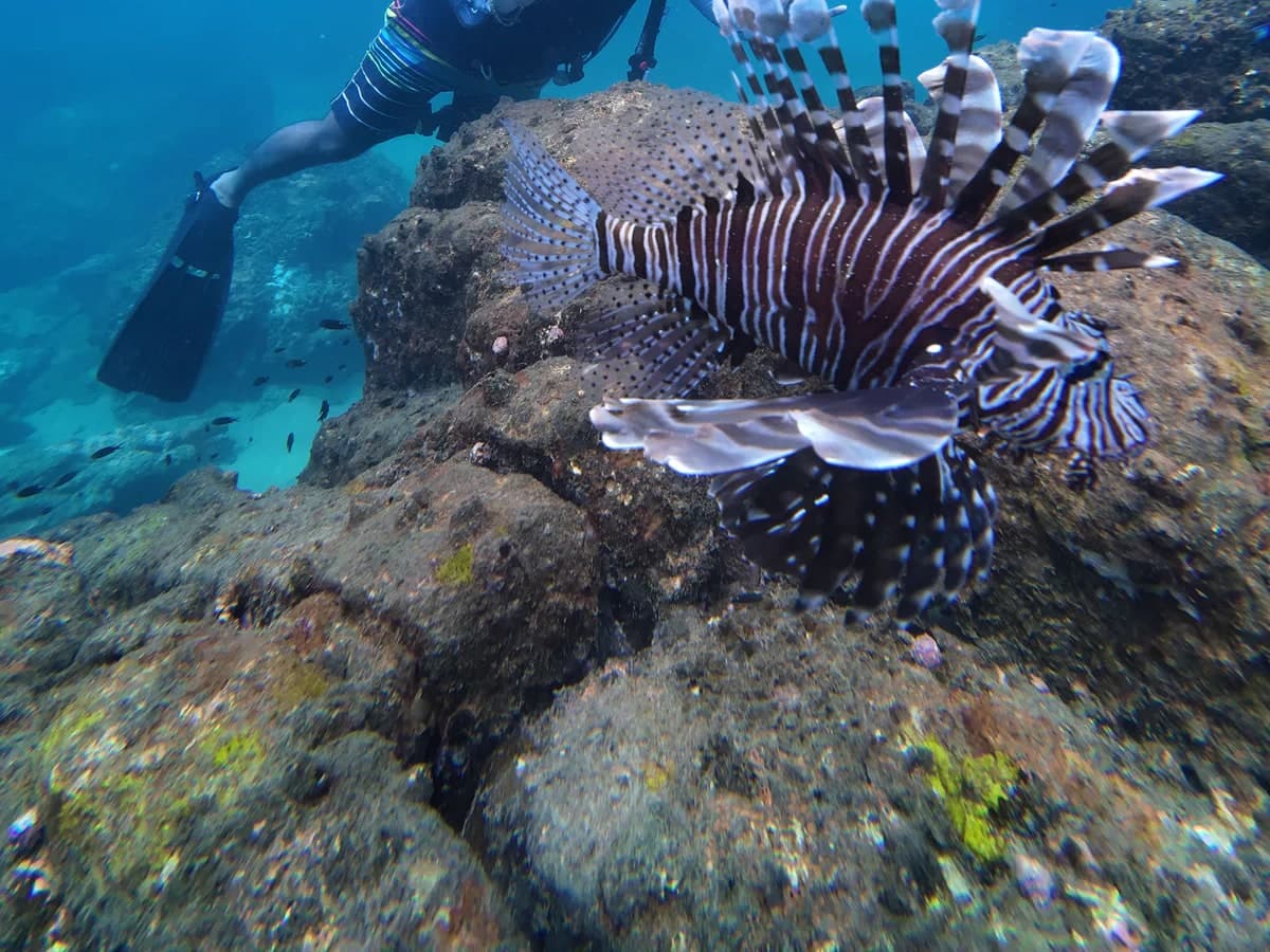 PADI Advanced Open Water Course
