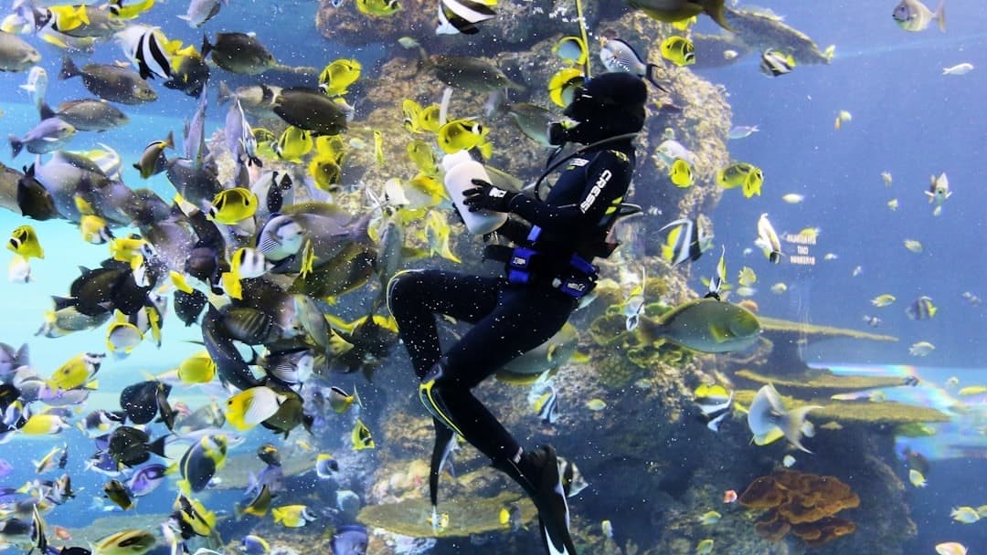 Divetime