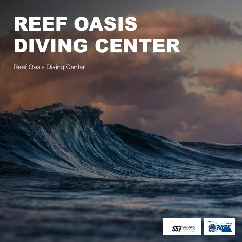 Reef Oasis Diving Center