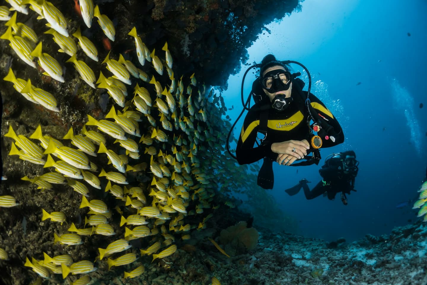 Barefoot Scuba